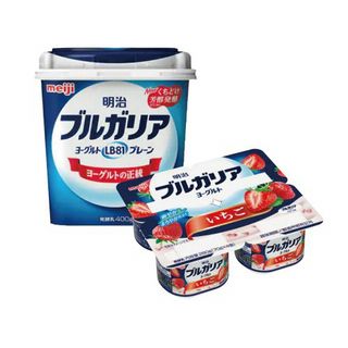 ブルガリアヨーグルト 各種