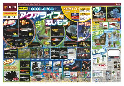 アクアライフを楽しもう!