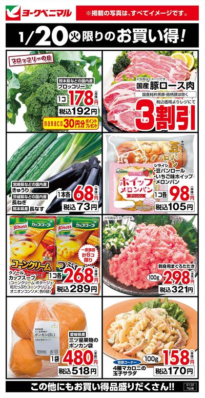 1/20限りのお買い得!