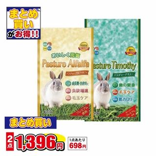 パスチャー