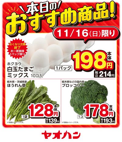 本日のおすすめ商品!