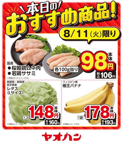 本日のおすすめ商品!
