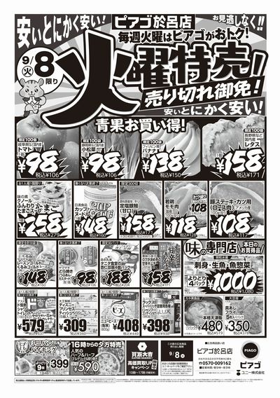 9月8日(火)