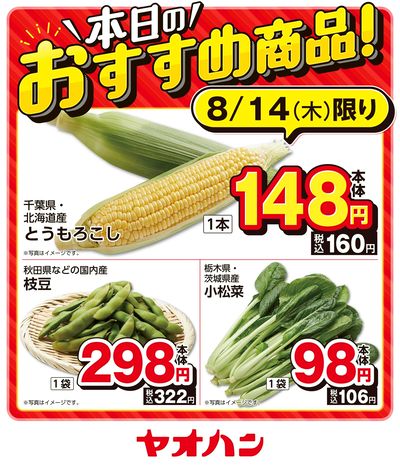 本日のおすすめ商品!