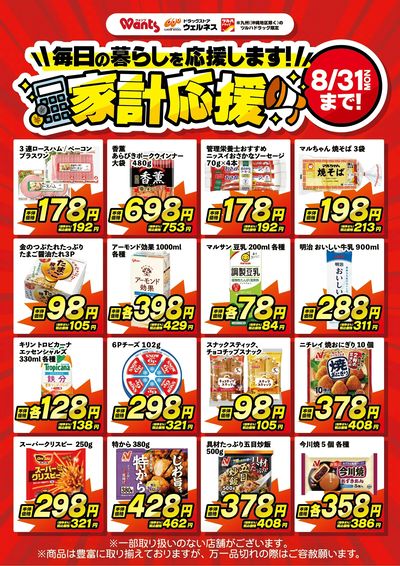 8 /13~31 ウェルネス 家計応援チラシ企画-1