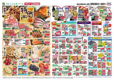 0903号-いわき裏