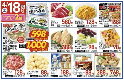 4/18(土)限定