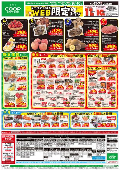 6/4号 WEB限定チラシ