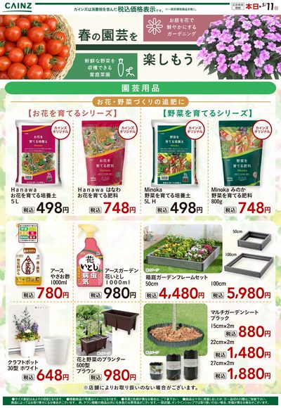 家庭菜園②