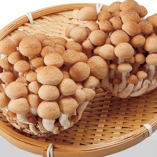 ホクトのぶなしめじ(100g)