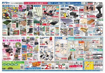 コメリパワー 3/7号 決算市 ウラ