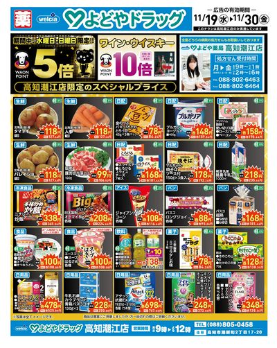 11/19号高知潮江店限定のスペシャルプライス