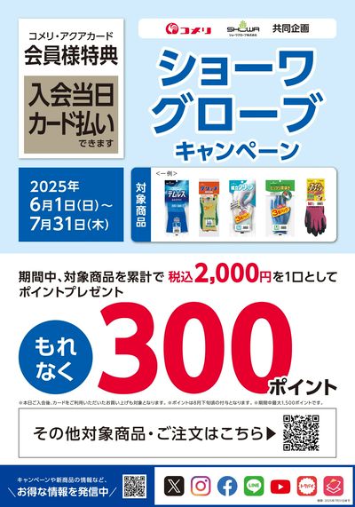 ショーワグローブキャンペーン