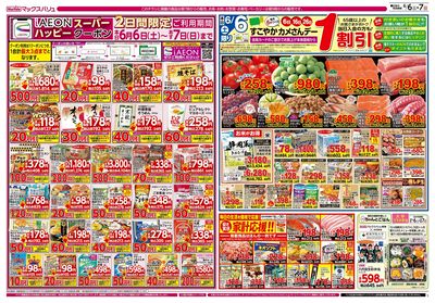 6/6号 カメさんデー/マックスサンデー/初夏の中華:オモテ