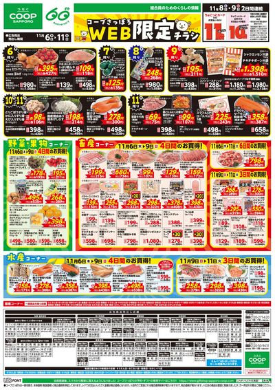 11/6号 WEB限定チラシ