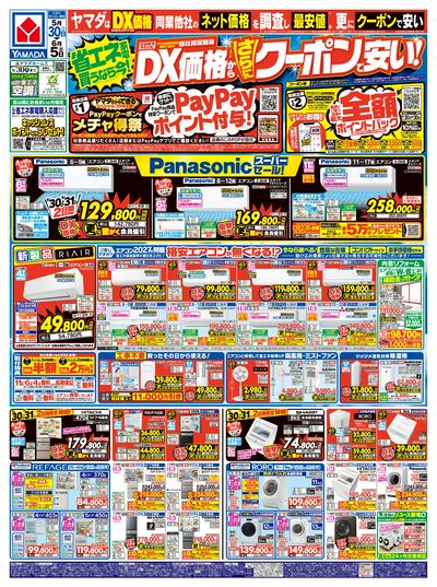 DX価格から、さらにクーポンで安い!(おもて)