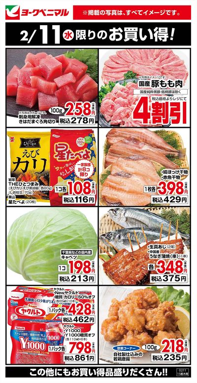 2/11限りのお買い得!