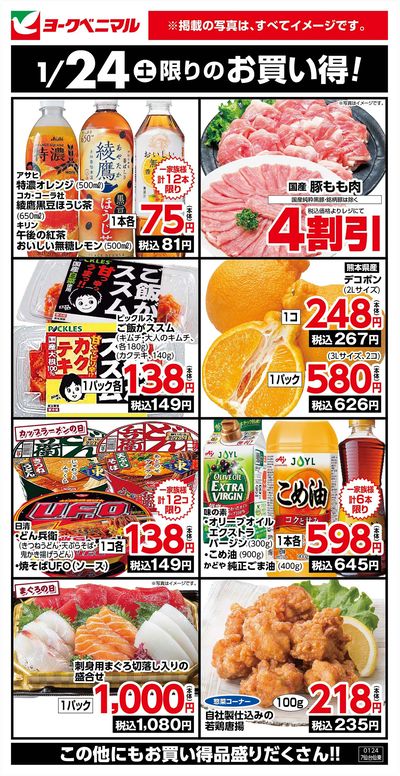 1/24限りのお買い得!