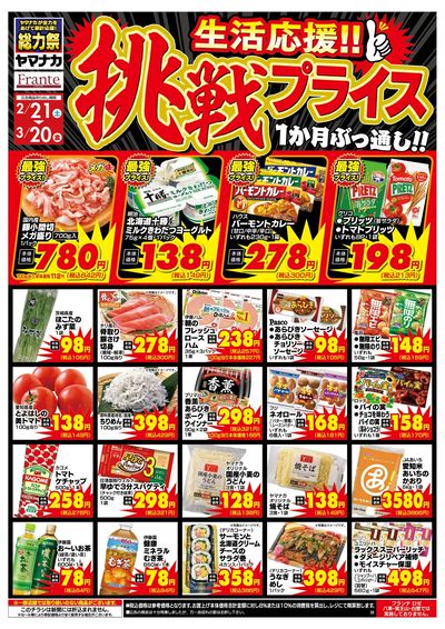 2/21-3/20 挑戦プライス