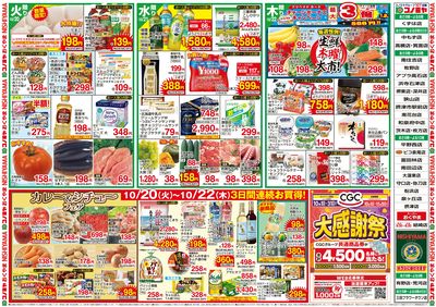 1020号レギュラーチラシ(表)