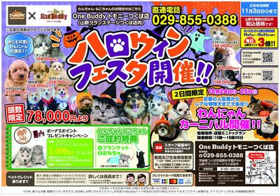 ハロウィンフェスタ(トモニー)