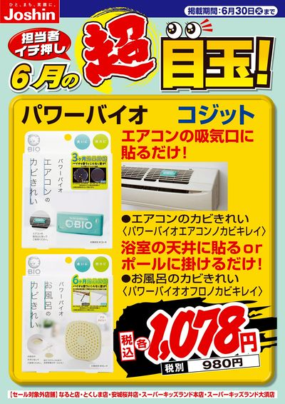 担当者イチ押し!6月の目玉品!