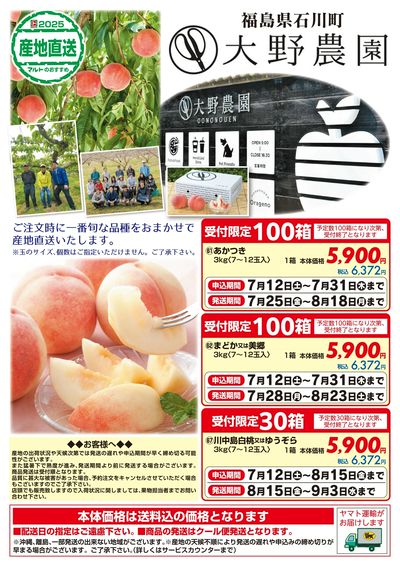 福島県石川町 大野農園 旬の桃