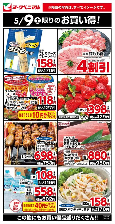 5/9限りのお買い得!