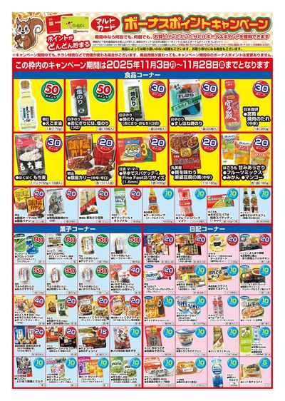 マルトカード ボーナスポイントキャンペーン(オモテ)