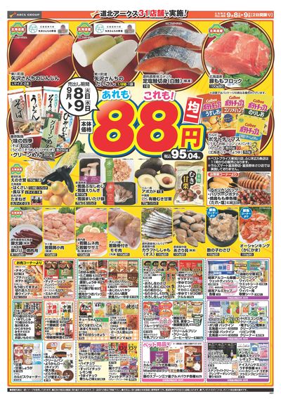 9/8-9日号 チラシ裏