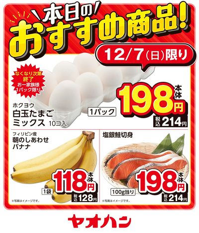 本日のおすすめ商品!