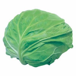 キャベツ