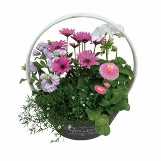 季節の寄せ植え
