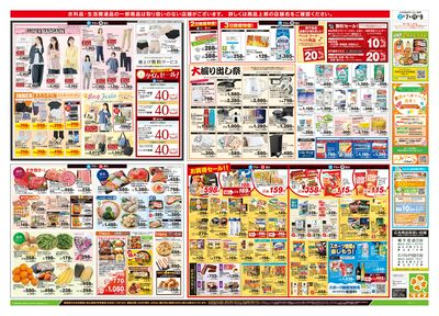 2/7号 総力祭/柑橘集めました