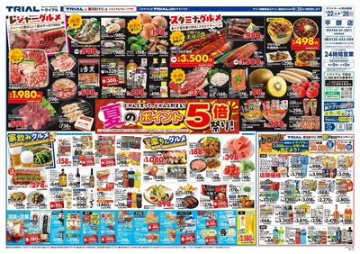 スーパーセンタートライアル 平群店_表