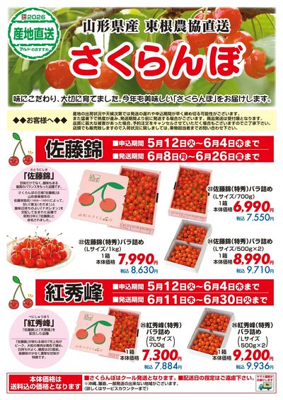 山形県産 東根農協直送 さくらんぼ