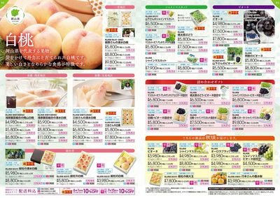 第10週 5/3号 夏の旬鮮便
