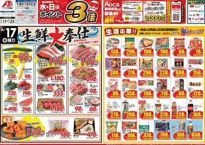 6月17日開始チラシ:表