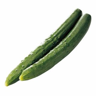 九州各産地 胡瓜 2本