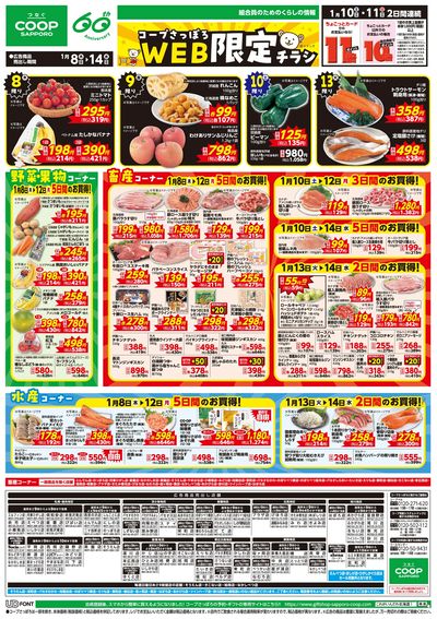 1/8号 WEB限定チラシ