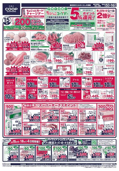 9/15号 オモテ