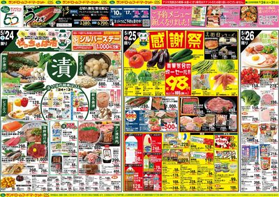 5/24号