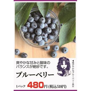 ブルーベリー1パック