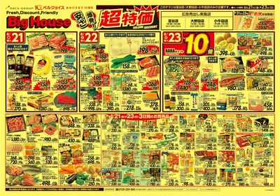 ビッグハウス安さ爆発!超特価