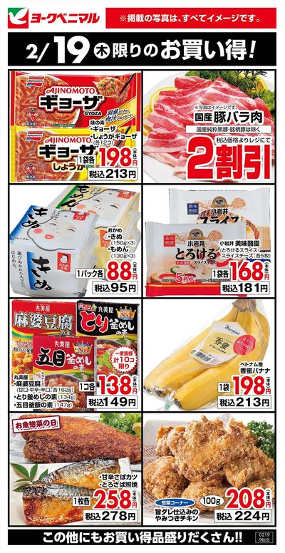 2/19限りのお買い得!