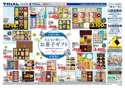 トライアル 山武成東店_裏