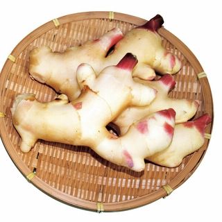 宮崎産 新生姜 100g当り