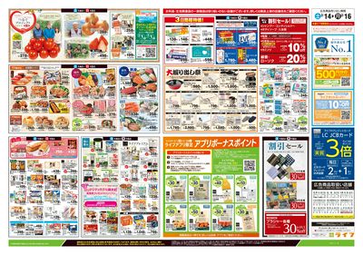 2/14号 春色グルメ