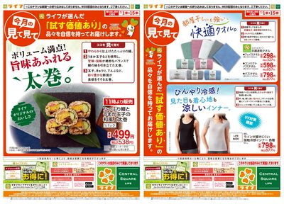 今月の見て見て