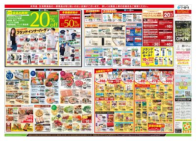 3/7号 総力祭/スポーツ観戦を楽しもう!